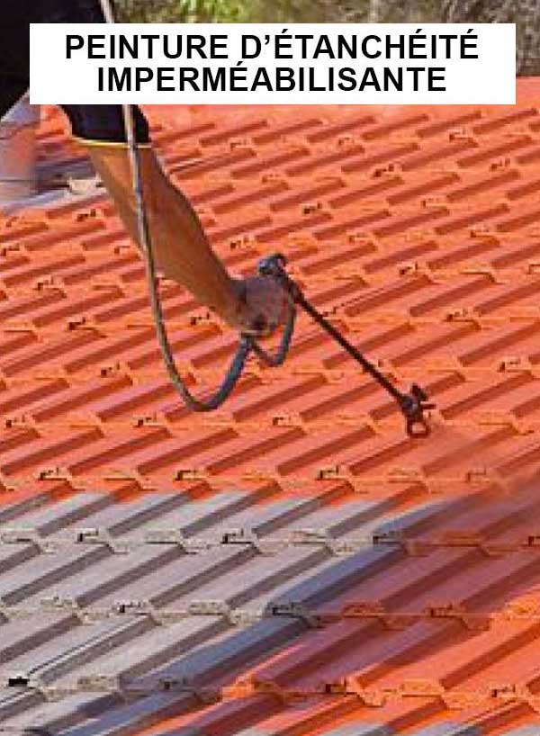 LAFFONTOITURE 06 : Artisan couvreur sur Nice, Cagnes-sur-Mer, Antibes, Cannes, Saint-Laurent-du-Var, Biot, Mougins, Le Cannet Vallauris, La Colle-sur-Loup, La gaude … - Travaux de couverture, faîtage, zinguerie, Nettoyage démoussage et peinture hydrofuge toiture, Ravalement Façade