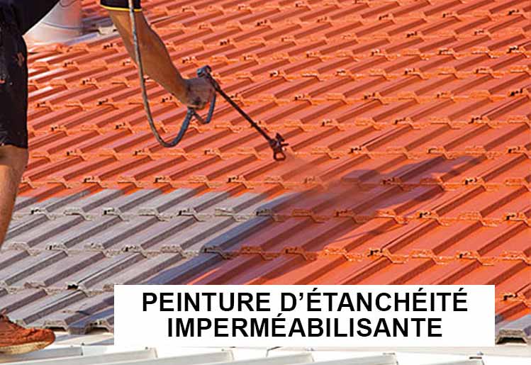 Peinture hydrofuge LAFFONTOITURE 06